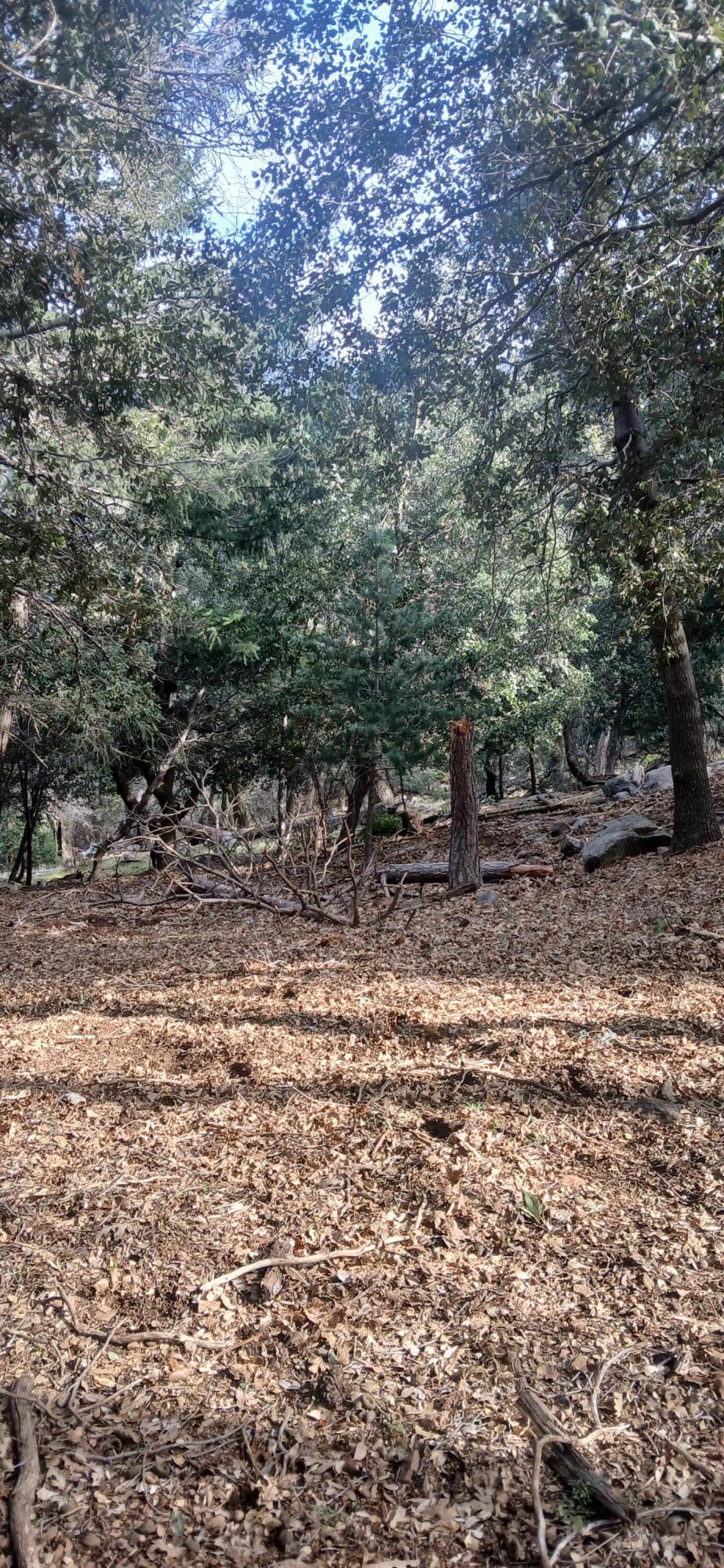0 Alder Creek Road