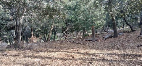Photo of 0 Alder Creek Road, Crestline, CA 92325 (MLS # 219146131DA)
