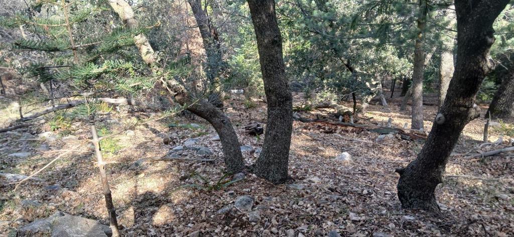 0 Alder Creek Road