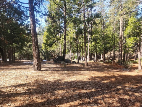 Photo of 52547 Pine Cove RD, Idyllwild, CA 92549 (MLS # CV26109822)