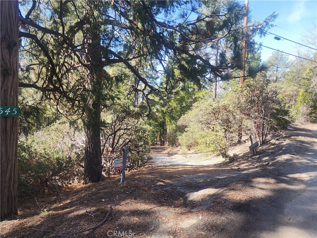 52547 Pine Cove