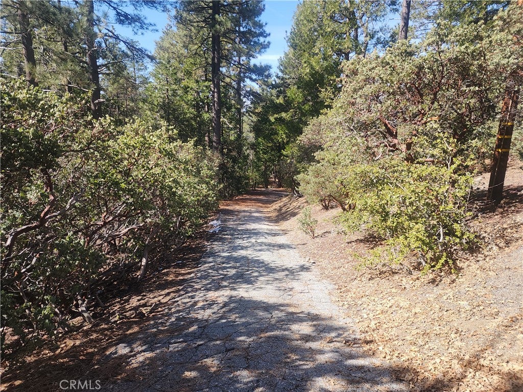 52547 Pine Cove