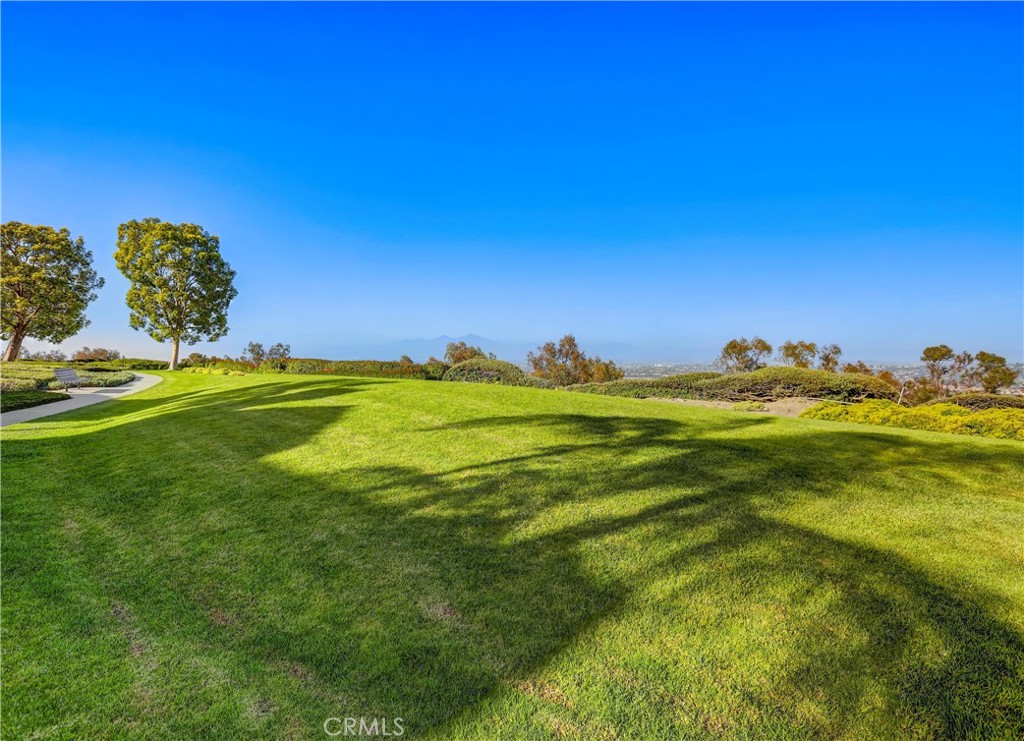 29354 Elba Drive, Laguna Niguel CA 92677 - Photo 50