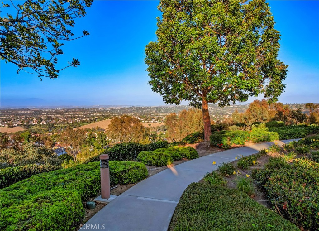 29354 Elba Drive, Laguna Niguel CA 92677 - Photo 51