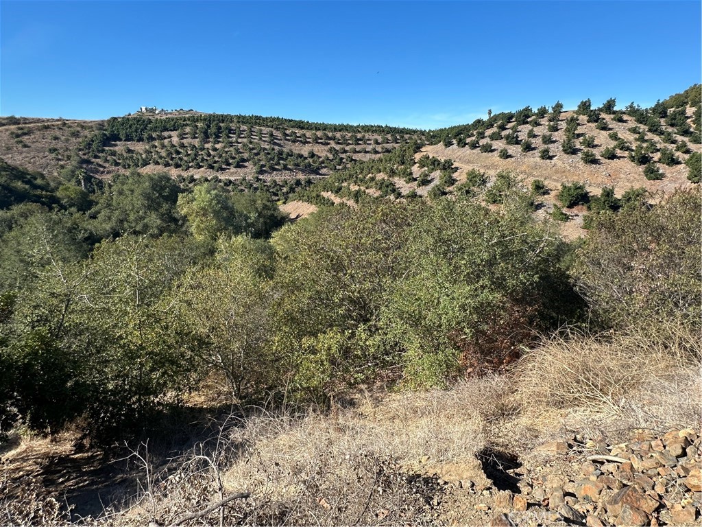 0 Via Barranca