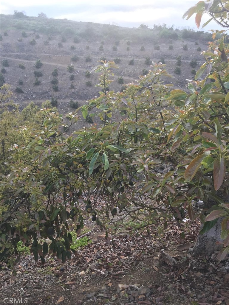 0 Via Barranca