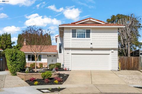 Photo of 48611 Tonopah Ct Ct, Fremont, CA 94539 (MLS # 41126065)