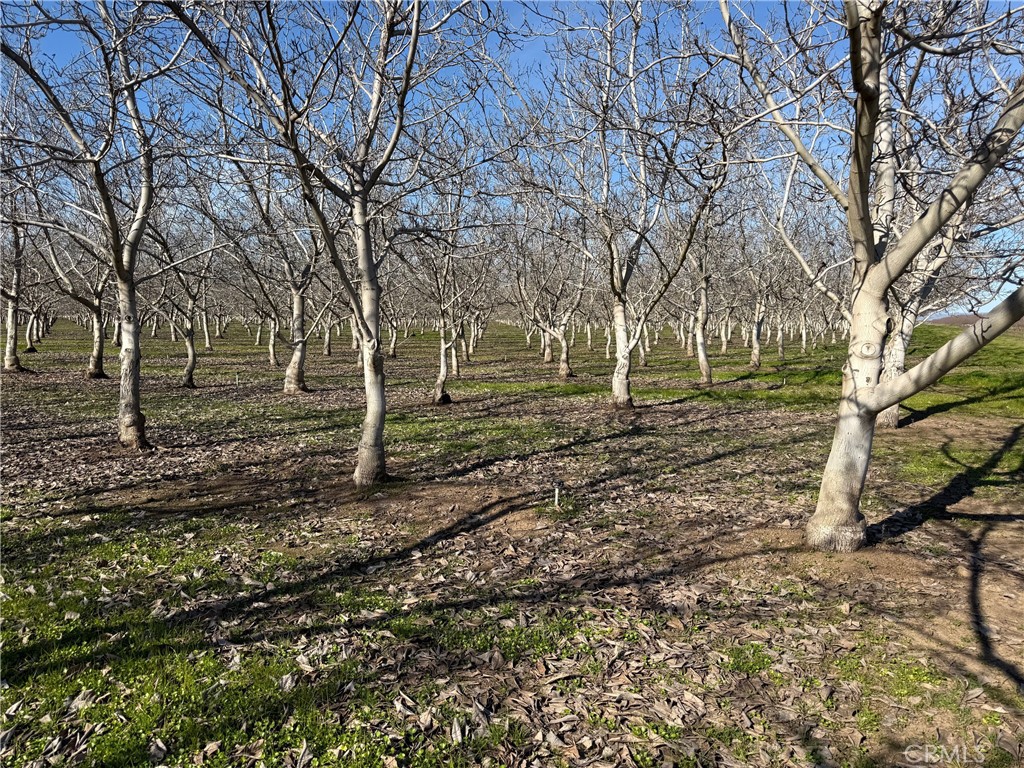 14693 Hamilton Nord Cana Highway