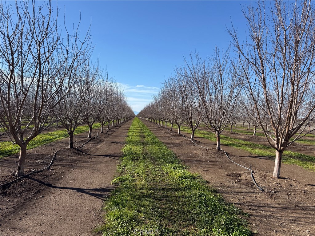 14693 Hamilton Nord Cana Highway