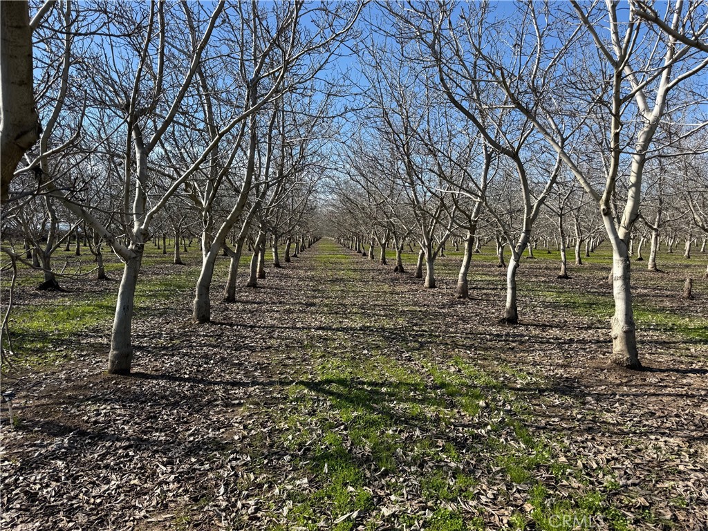 14693 Hamilton Nord Cana Highway