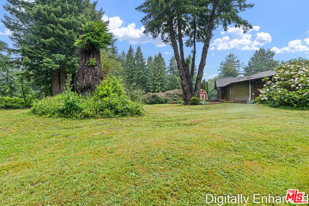220 Malvin Murphy Lane