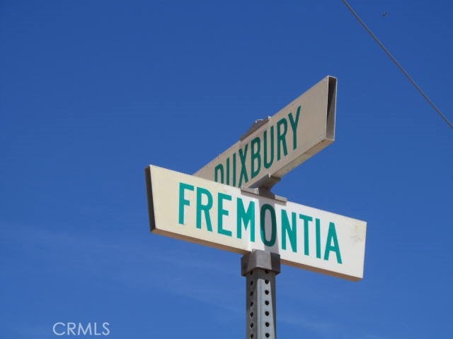 28 Fremontia