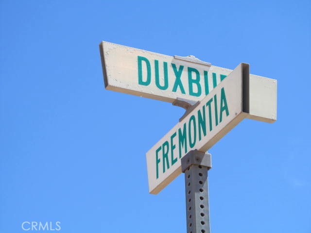 28 Fremontia