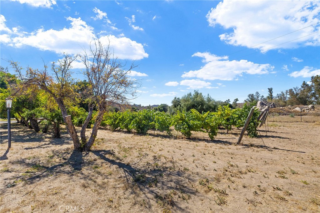 32551 Sage Road