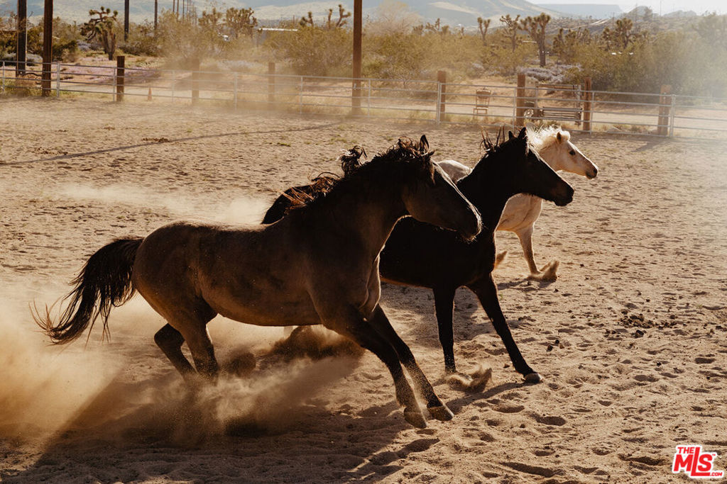 55626 Pipes Canyon Road