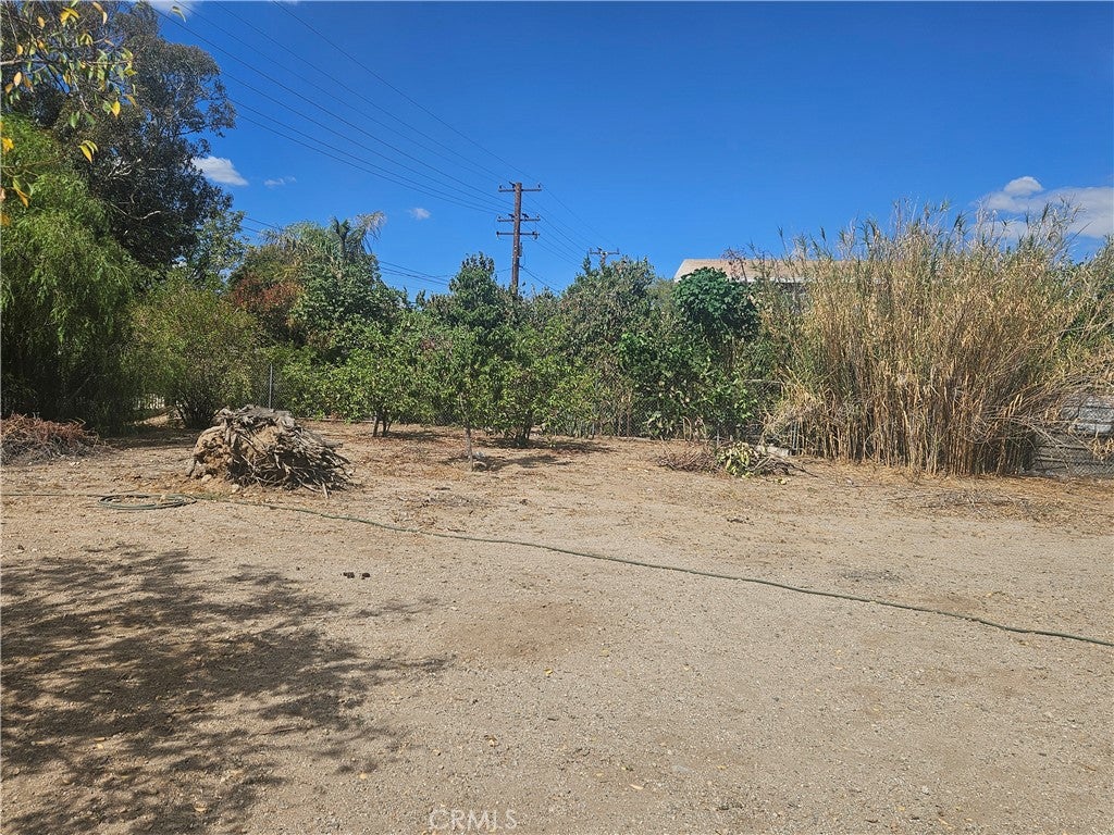 1981 Nolan Street