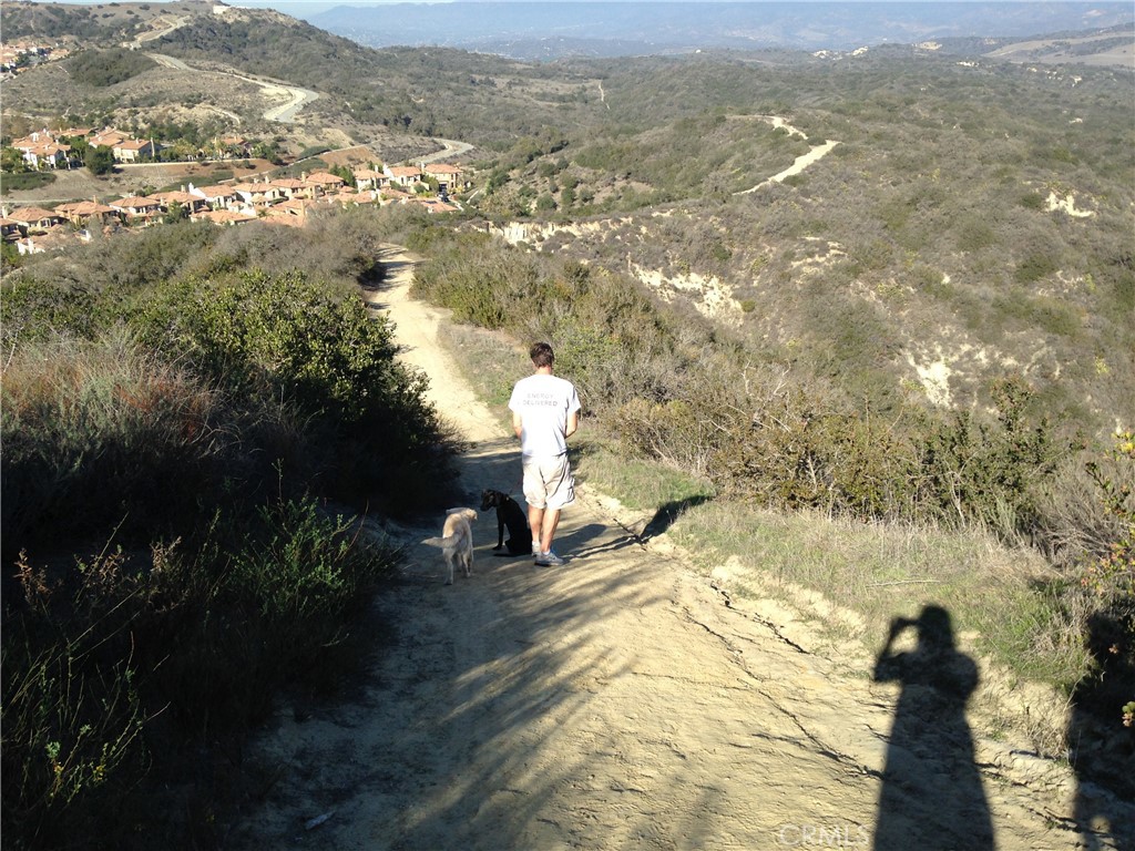 Sabella (SABE) - Residential