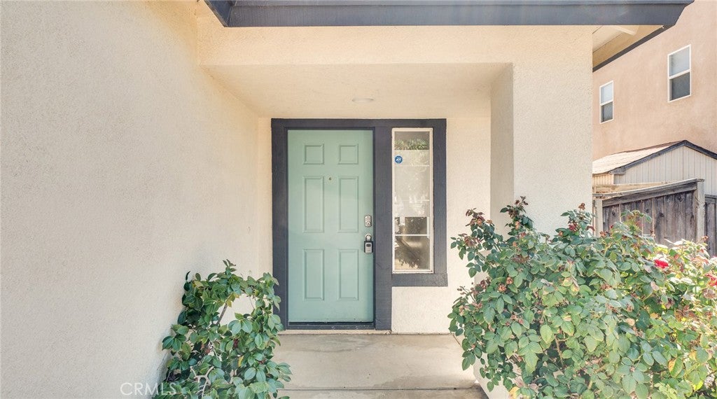 4425 Oak Tree