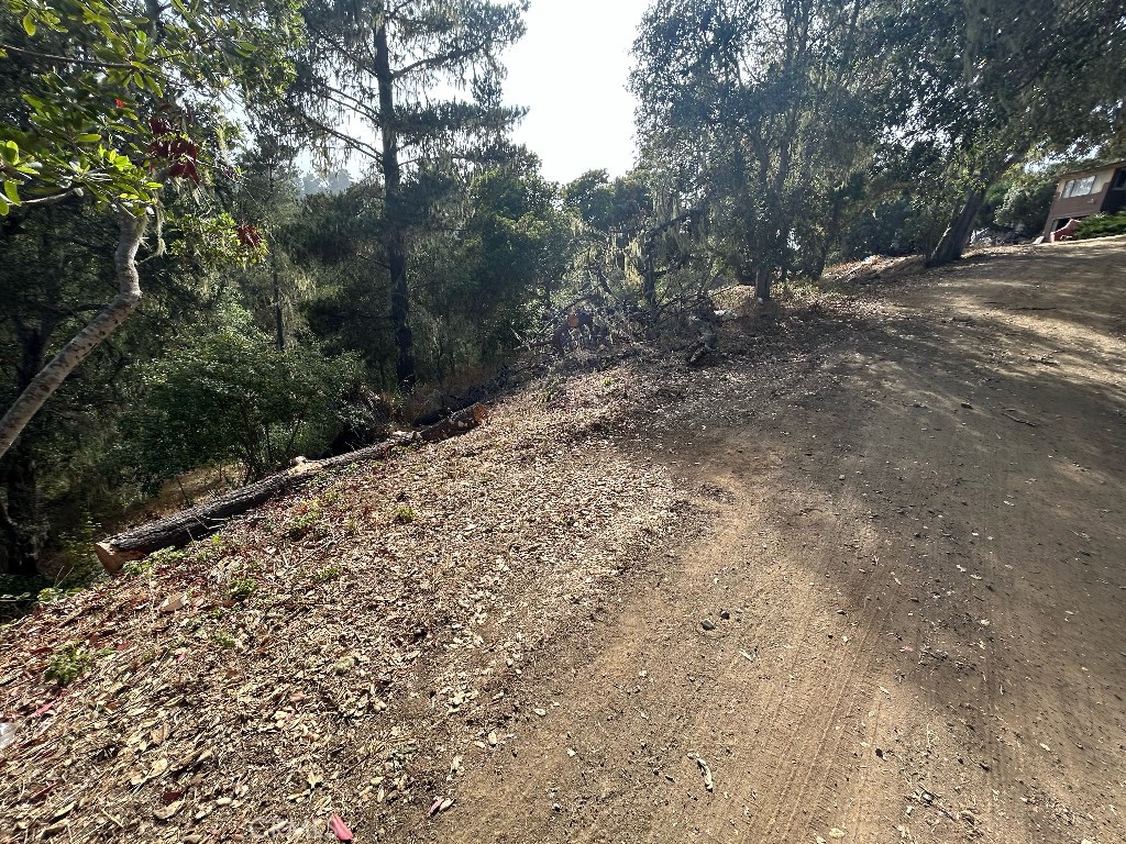 Cambria Pines Manor - Land