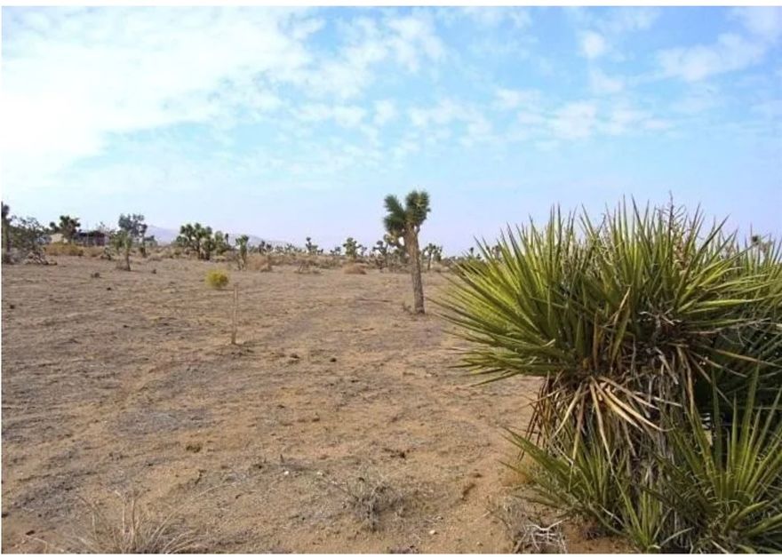 Land for Sale- 10 Acres -build multifamily homes and sell them separately or build your dream home just the way you want it. Call today for more information- has water, electric, gas and cable