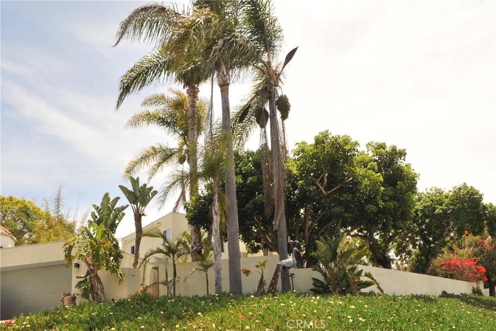 Encinitas - Residential Lease