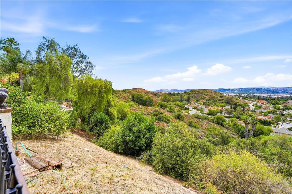19704 Saddlecrest
