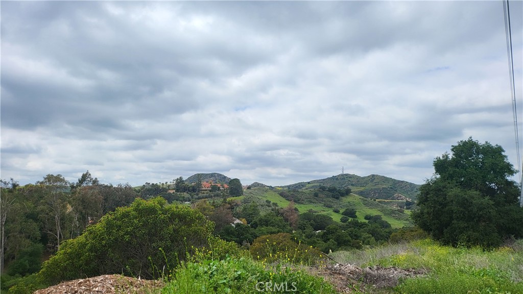 28052 Modjeska Grade Road