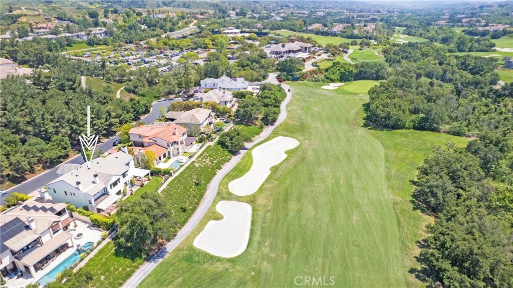 15 Canada Oaks