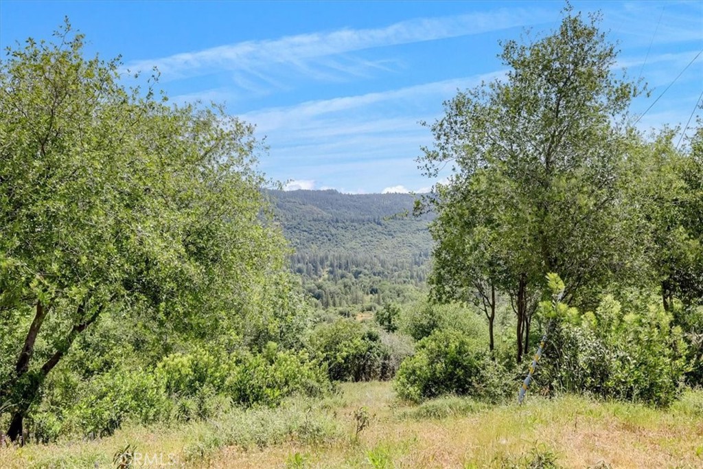 23 Clark Ranch Way