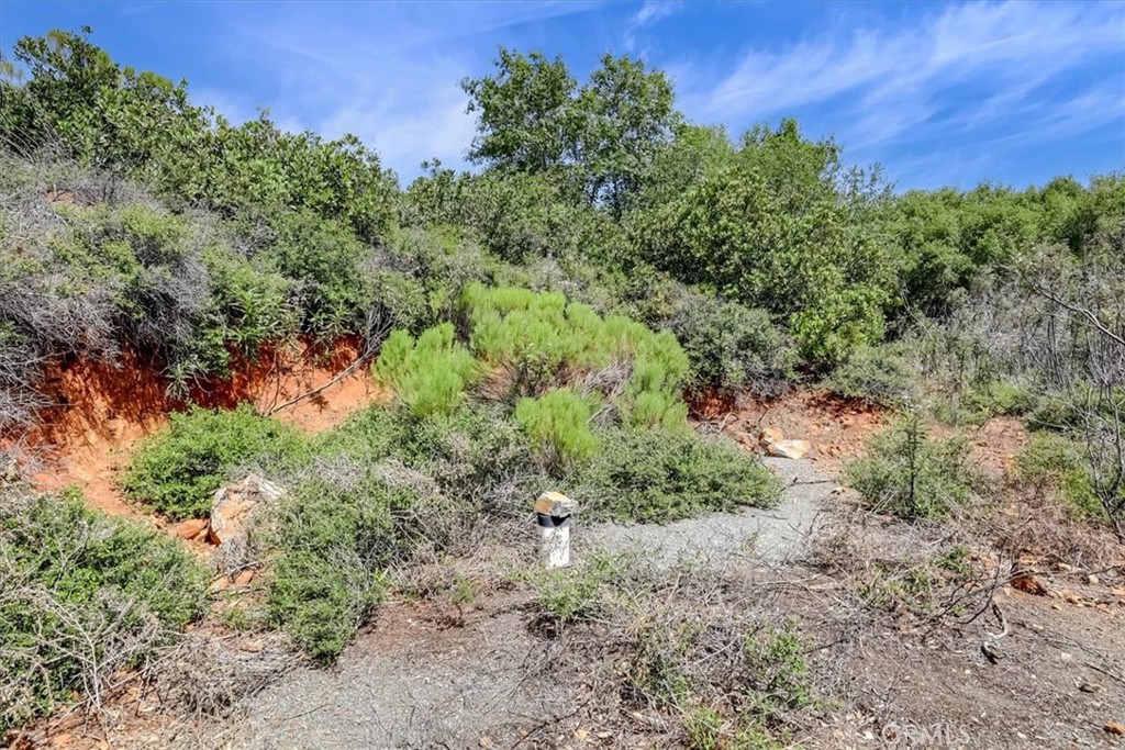 23 Clark Ranch Way