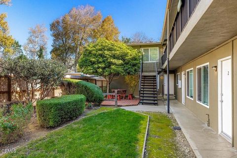 Tiny photo for 505 Brizzolara Street, San Luis Obispo, CA 93401 (MLS # V1-34654)