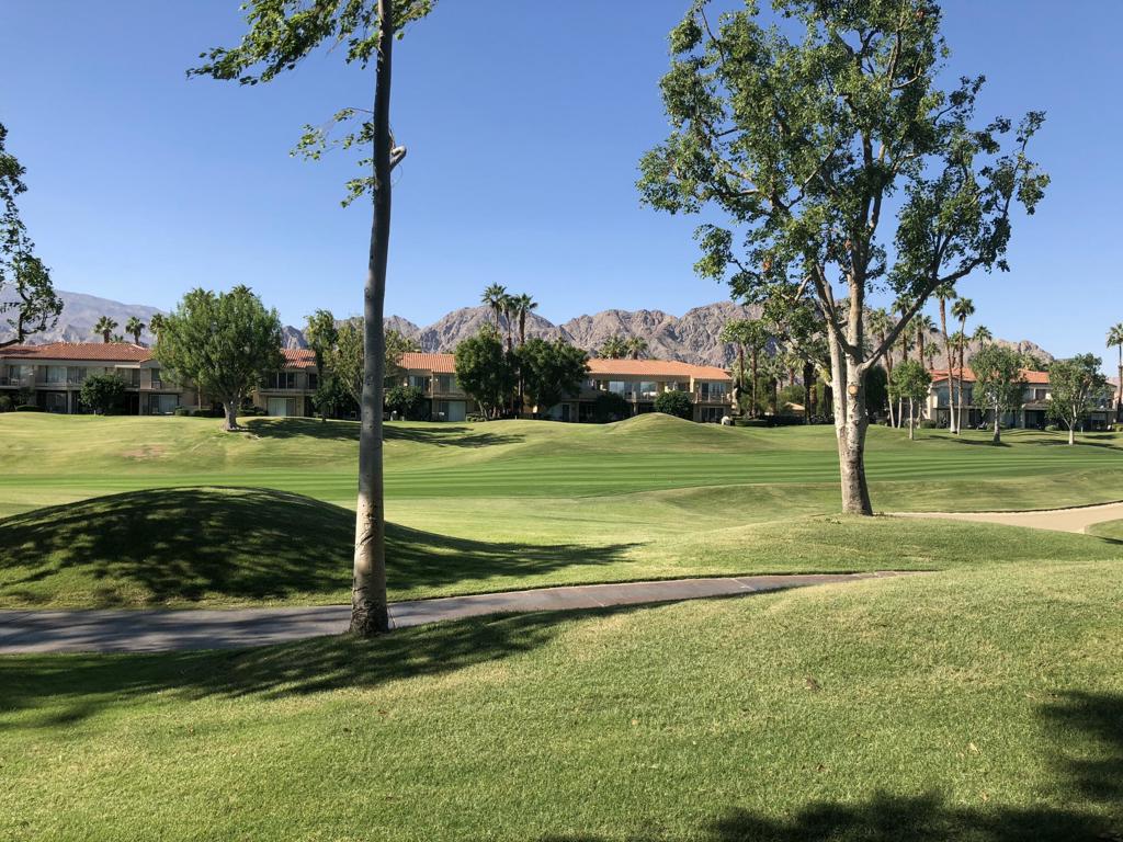 55371 Winged Foot