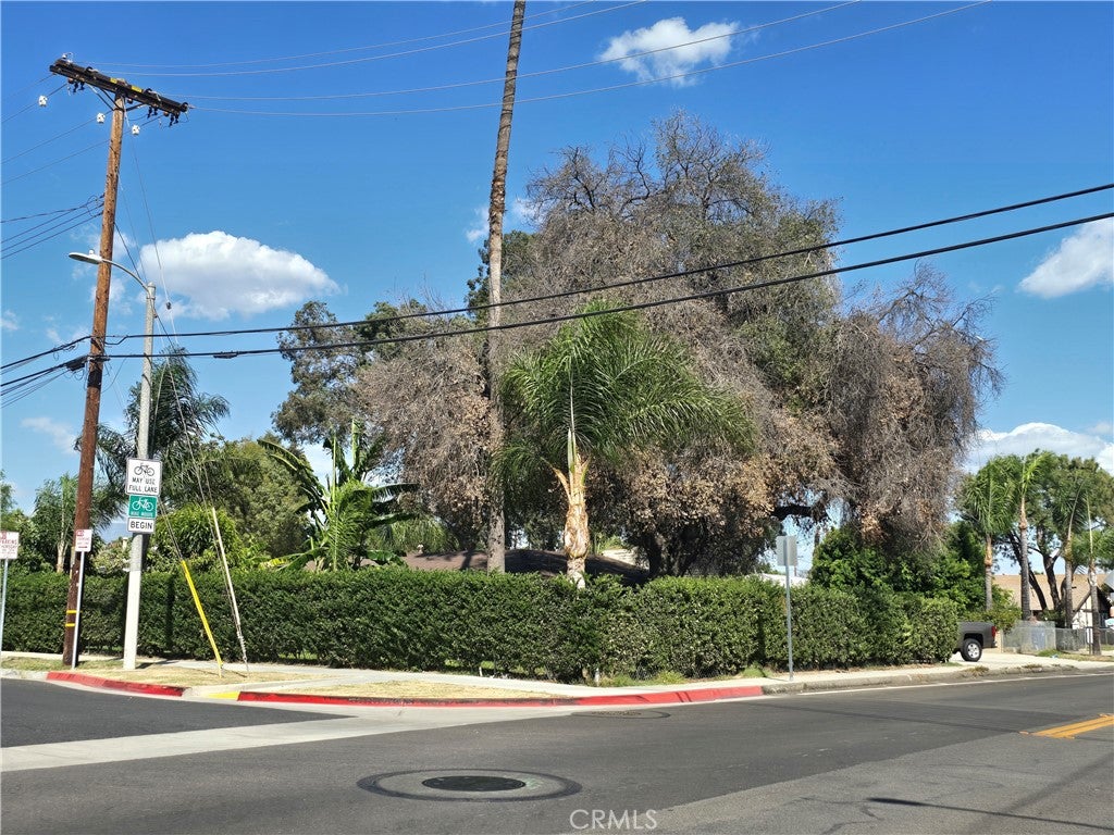 1239 S Vine Avenue