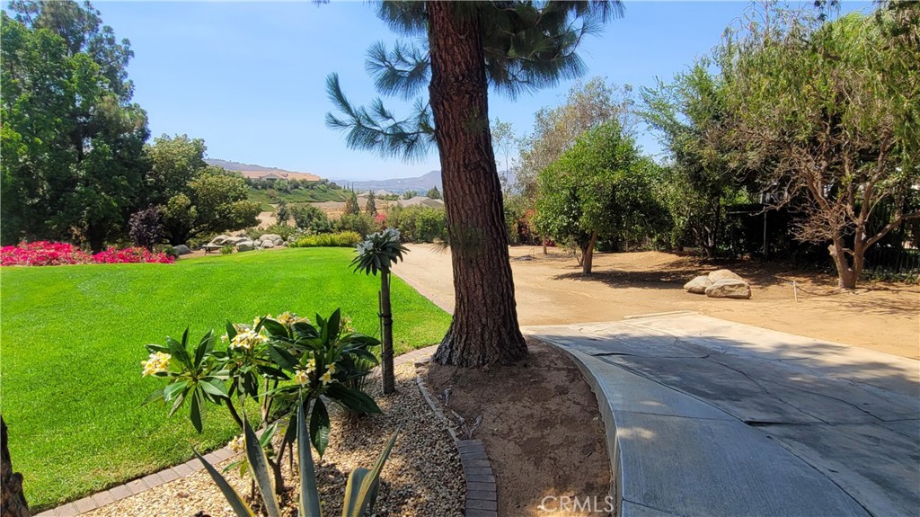 10851 Orchard View Lane