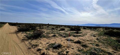 Photo of 22500 Avenue M, Lancaster, CA 93535 (MLS # DW26077723)