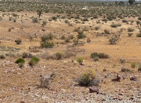 34529318 Mojave Mojave CA 92501