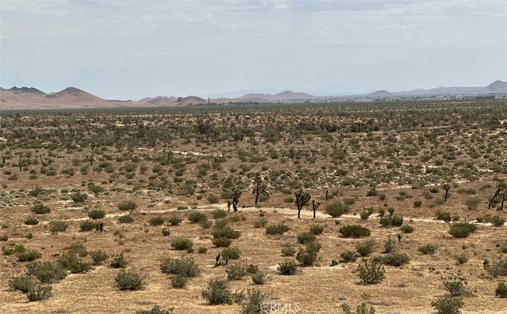 34529318 Mojave