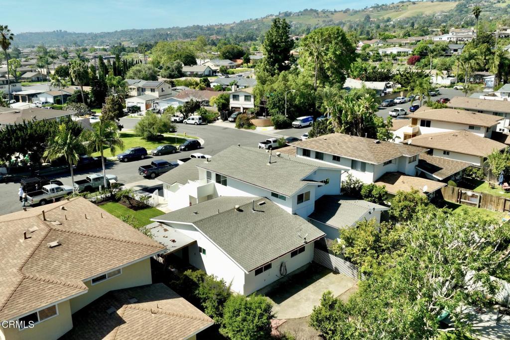 26511 Calle Delphina