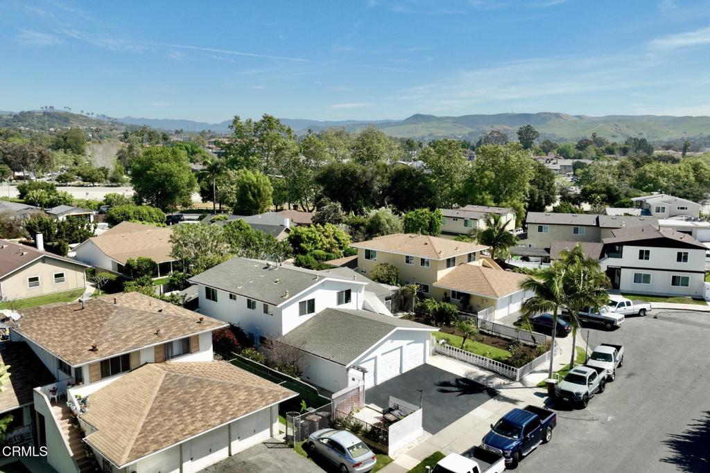 26511 Calle Delphina