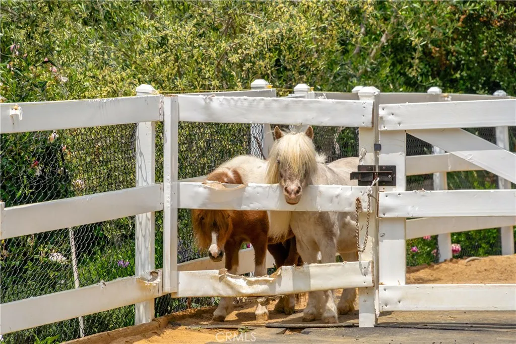 Hidden Hills, California 91302, United States, 5 Bedrooms Bedrooms, ,5 BathroomsBathrooms,Residential,Active,133861