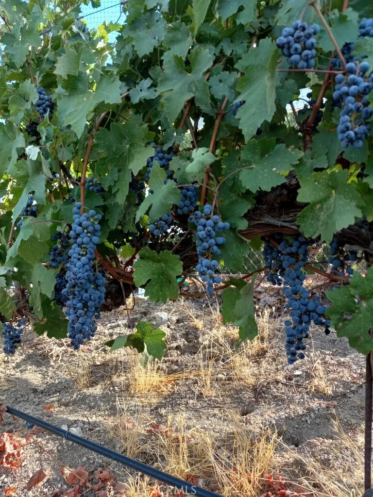 Hidden Hills, California 91302, United States, 5 Bedrooms Bedrooms, ,5 BathroomsBathrooms,Residential,Active,133861