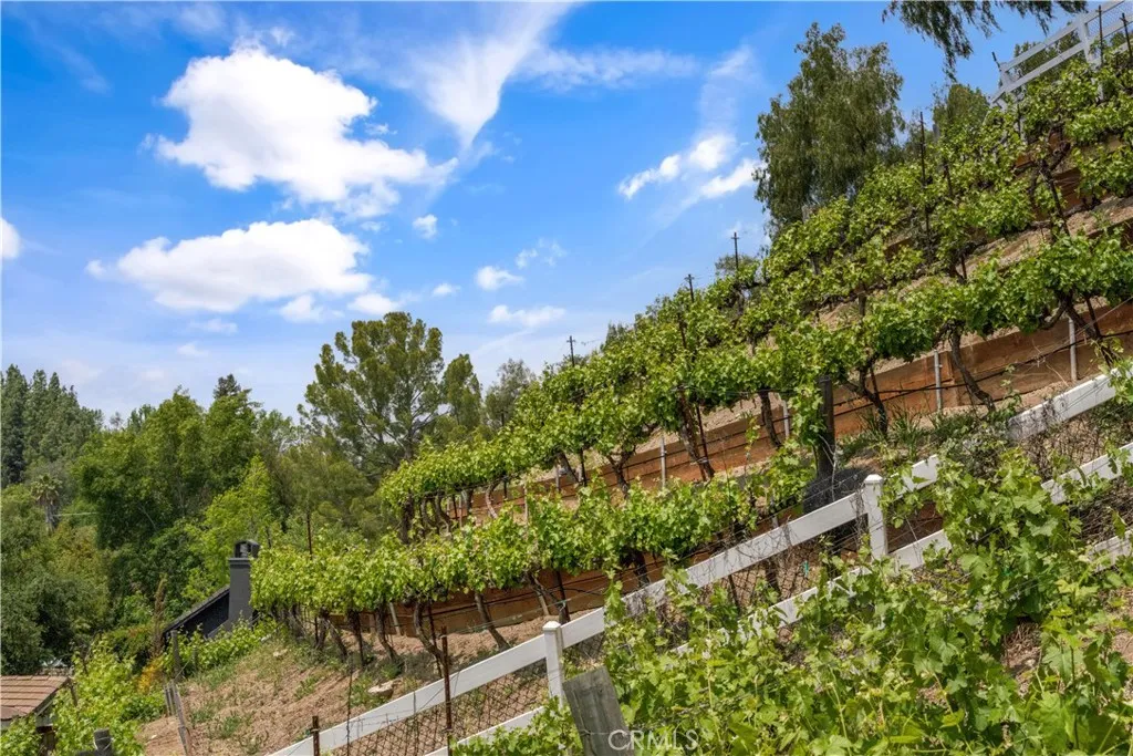 Hidden Hills, California 91302, United States, 5 Bedrooms Bedrooms, ,5 BathroomsBathrooms,Residential,Active,133861