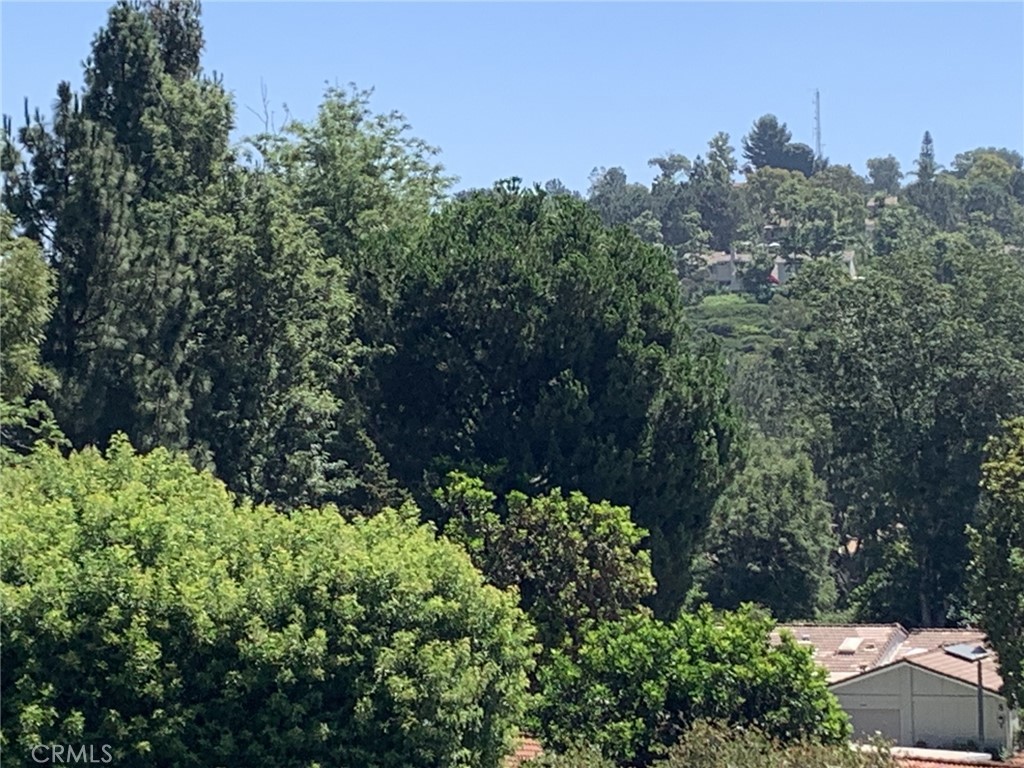 3271 San Amadeo P