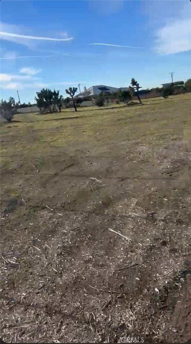10120 Mescalero