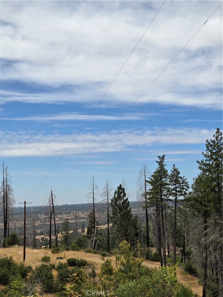 Imagine enjoying your morning coffee in silence and serenity with sweeping canyon views and surrounded by nature’s beauty.
This land lot is just over 10 acres located in Oroville/Concow/Yankee Hill area with spectacular sweeping canyon views and perfect place to put a house and turn it into a Home or maybe even a homestead. This is a perfect canvas ready for someone with vision to take it over and bring life to it. This property is located just behind the “dome store” and not too far from Lake Concow. Septic, well and power are all already located at the property and at a price this good it won’t last long! Call your favorite Agent for a private showing today!
