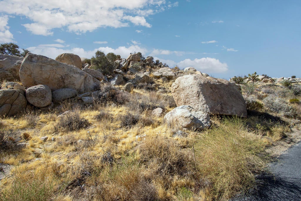 204 Bandera Road