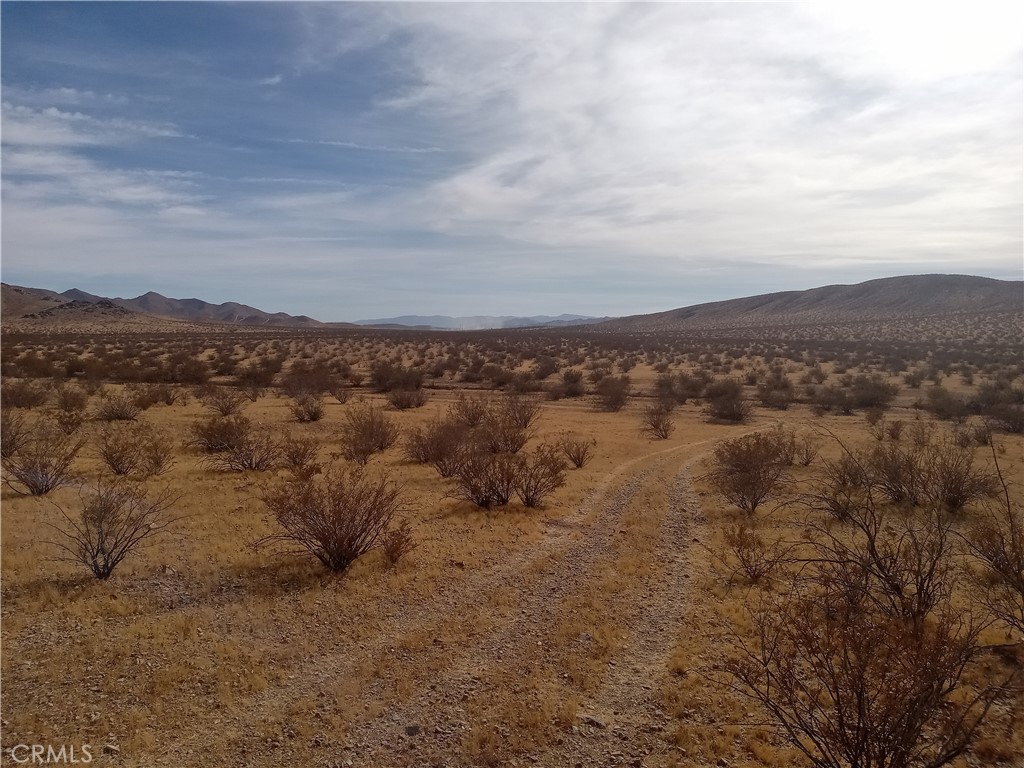 0 Vacant Land