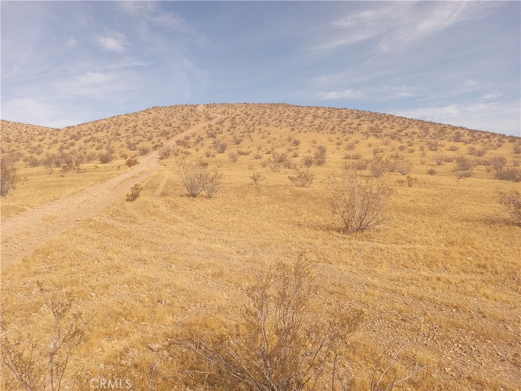 0 Vacant Land