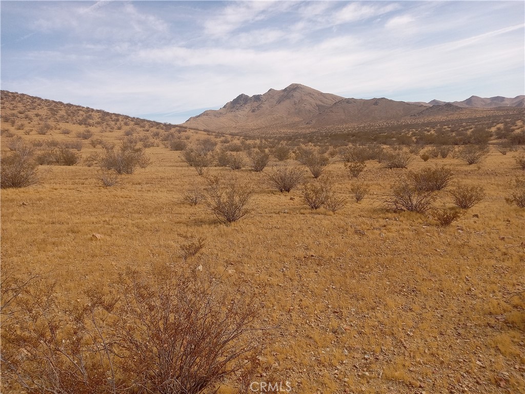 0 Vacant Land