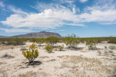 Photo of 3375 Sunset Road, Joshua Tree, CA 92252 (MLS # 219152045PS)